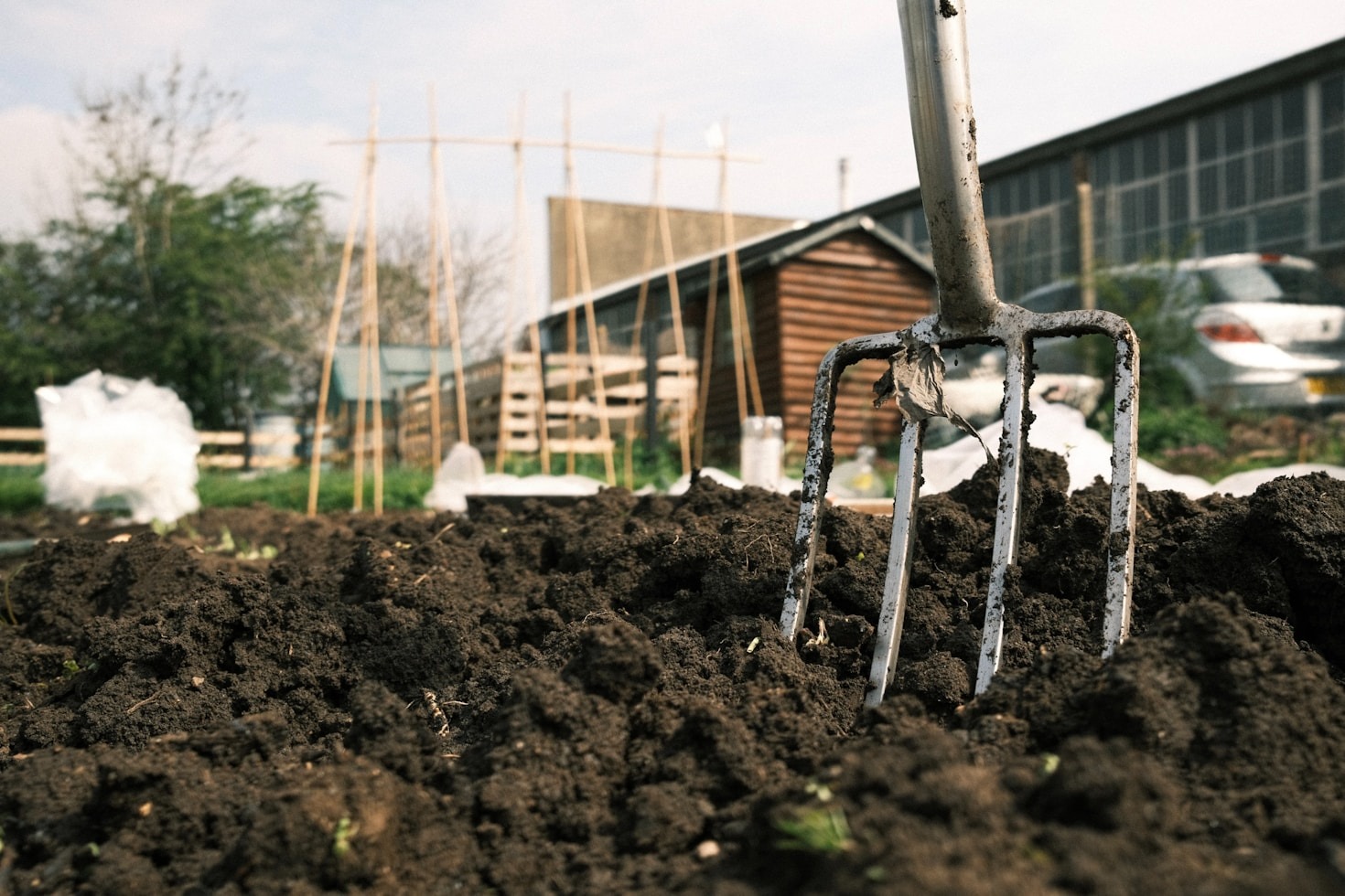 A Beginner’s Guide to Starting an Allotment